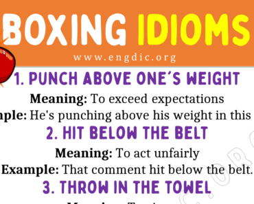Boxing Idioms (With Meaning and Examples)