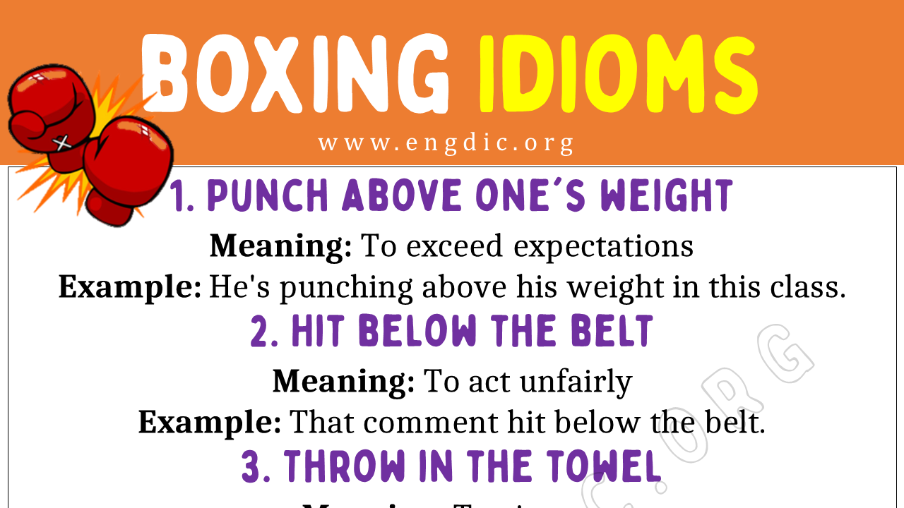 Boxing Idioms (With Meaning and Examples) EngDic