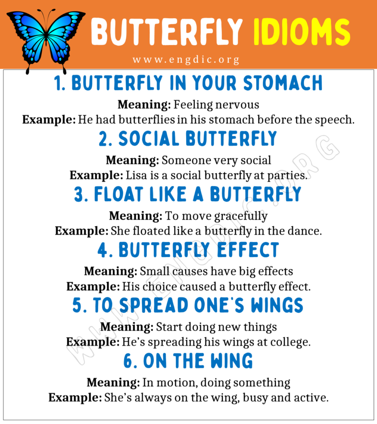 Butterfly Idioms (With Meaning and Examples) - EngDic