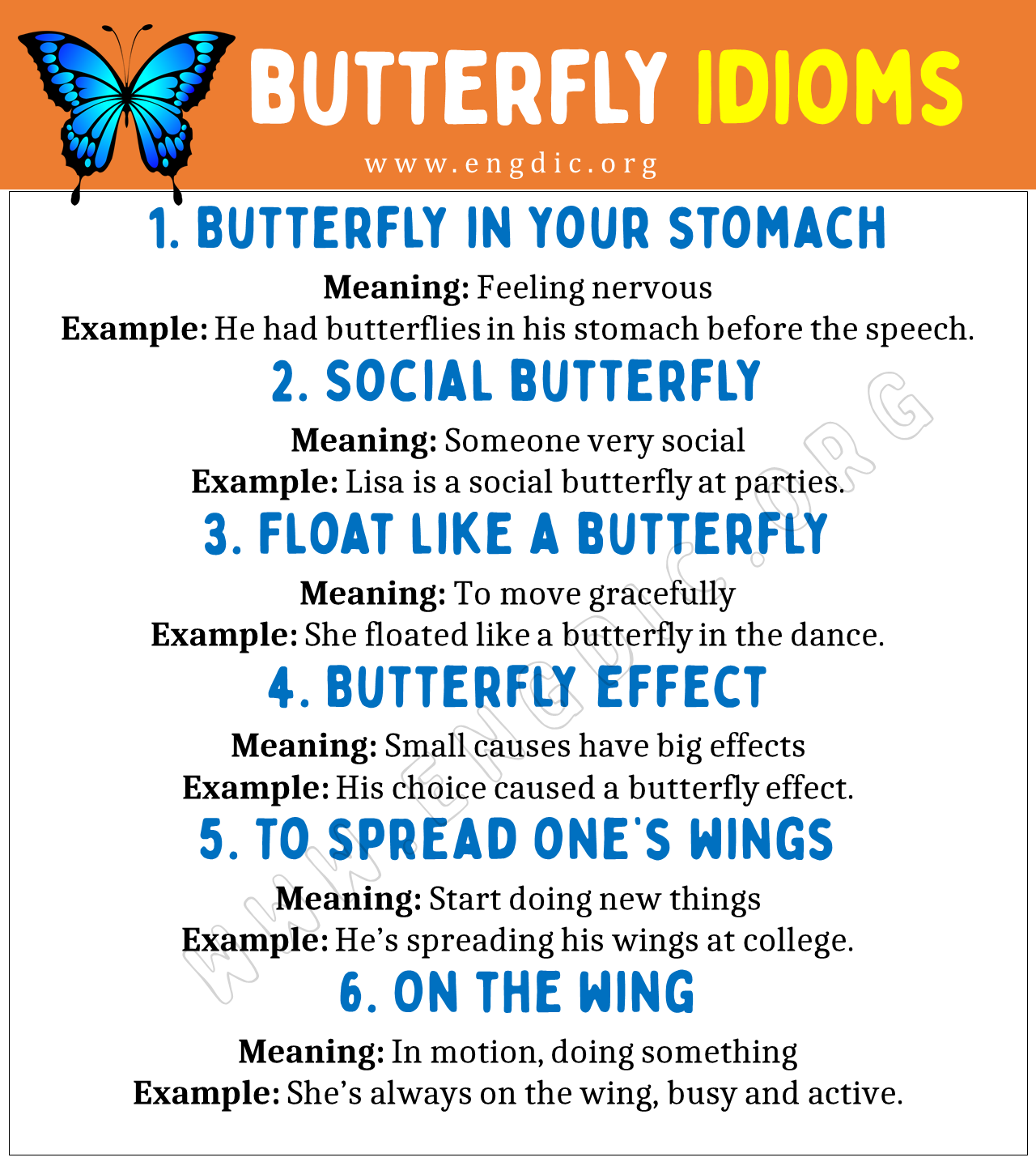 butterfly Idioms