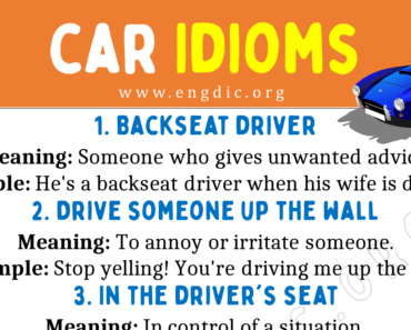 Car Idioms (With Meaning and Examples)