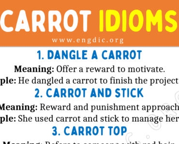 Carrot Idioms (With Meaning and Examples)