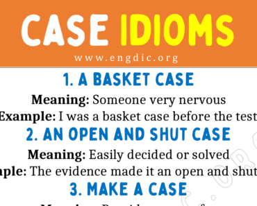Case Idioms (With Meaning and Examples)
