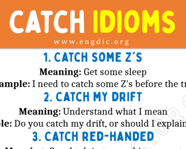 Catch Idioms (With Meaning and Examples)