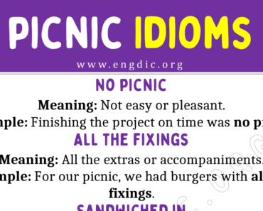Picnic Idioms (With Meaning and Examples)