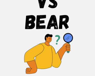 Bare vs Bear: What’s the Difference?