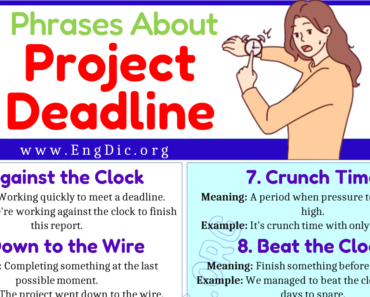 Learn 20 Expressions About Project Deadline