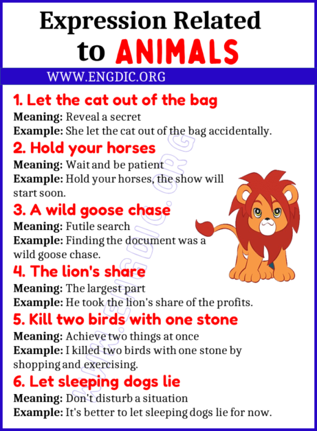 Learn 20 Expressions Related to Animals - EngDic