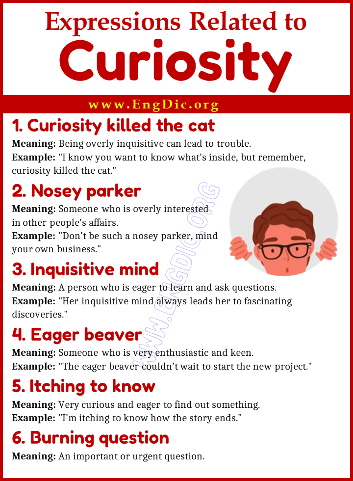 Expressions Related to Curiosity
