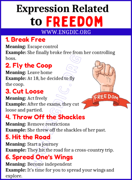 Learn 20 Expressions Related to Freedom - EngDic