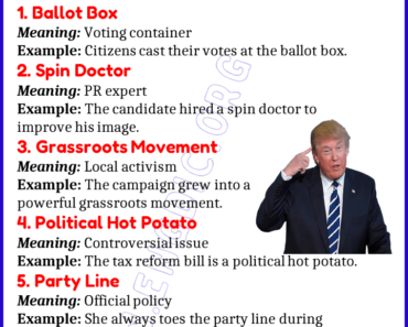 Learn 20 Expressions Related to Politics