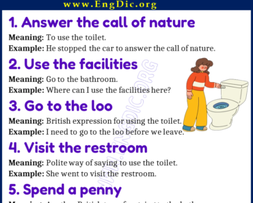 20 Expressions Related to Using Toilets