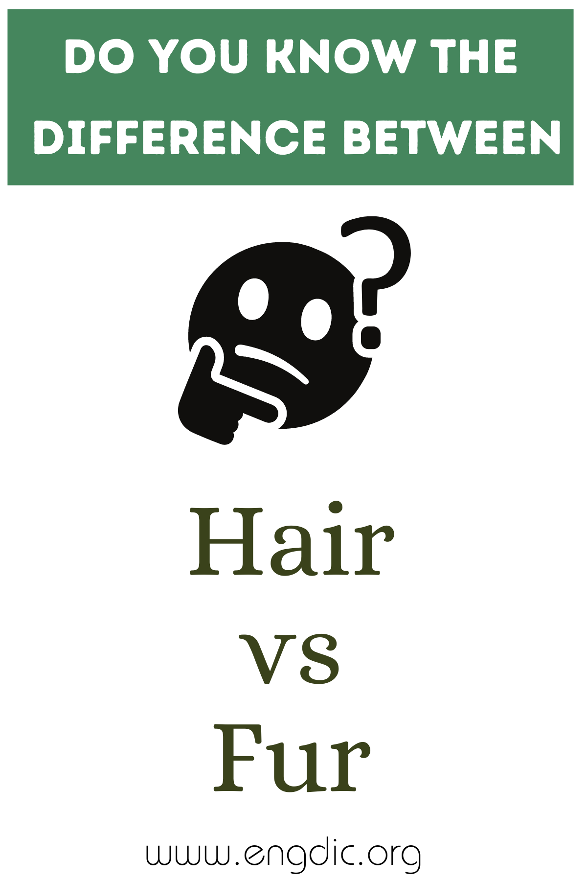 Hair vs Fur