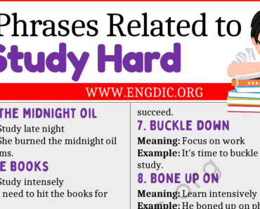 Learn 30 Phrases Related to Study Hard